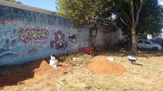 Composteira comunitaria 4
