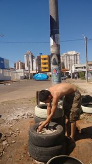 Canteiro de cima 3