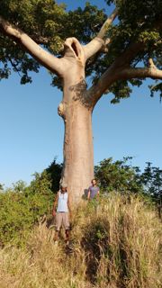 Rota Cuba 2016