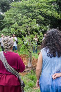 Pajelança Quilombólica Digital - Territórios Digitais Livres