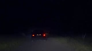 Recording the nighttime