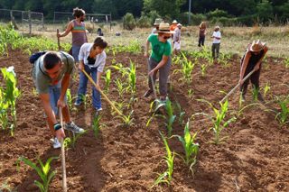  Caselle in Pittari - Palio del e Camp di Grano 2017