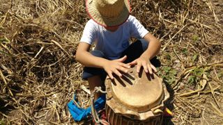 Plantio de feijão na fazenda Roseira 