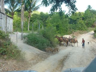 Visita as aldeias Pataxó e ao Monte Pascoal