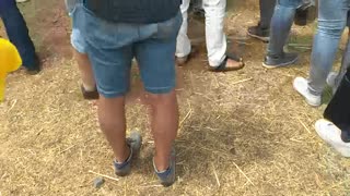  Caselle in Pittari - Palio del e Camp di Grano 2017