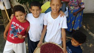 Plantio de feijão na fazenda Roseira 