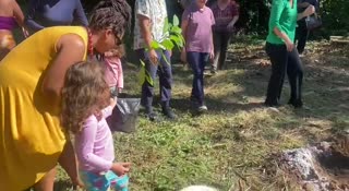 Plantio Baobá na Comunidade do Fojo