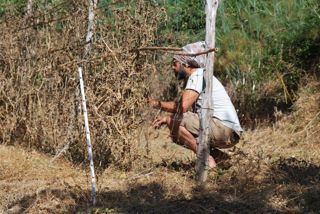  Caselle in Pittari - Palio del e Camp di Grano 2017