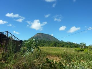 Rota dos Baobás e Teia dos Povos no território Pataxó do Monte Pascoal