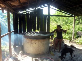 Rota dos Baobás e Teia dos Povos no território Pataxó do Monte Pascoal