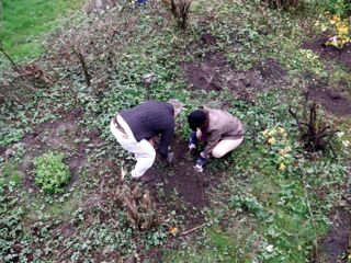 Agger and Melanie Valencia planting trees