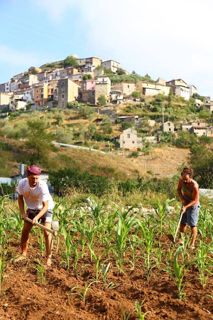 Caselle in Pittari - Palio del e Camp di Grano 2017