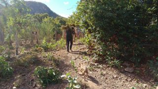 IMG_20160701_150104510