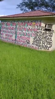 grapixo - LABA