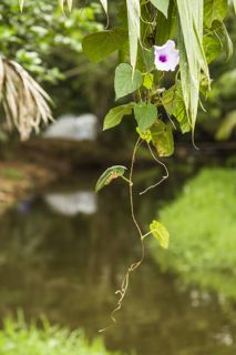 IV Jornada de Agroecologia da Bahia