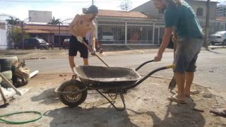 Canteiro de cima 12