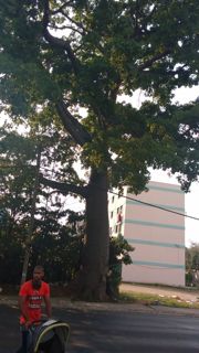 IMG_20160428_175357983.redimensionado