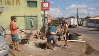 Canteiro de cima 16