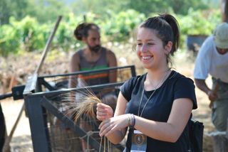  Caselle in Pittari - Palio del e Camp di Grano 2017