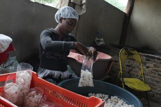 Produção de Beiju na comunidade quilombola Divino Espírito Santo.