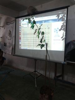 Plantio mucua Coco - Oficina NUFAC