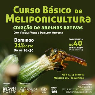 Cartaz - Curso Basico de Meliponicultura