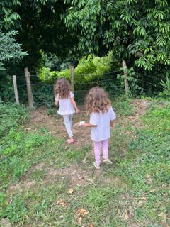 Passeando na mata de Guapi