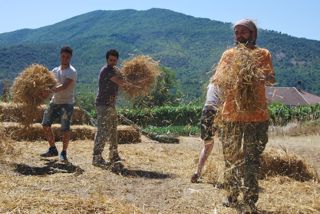  Caselle in Pittari - Palio del e Camp di Grano 2017
