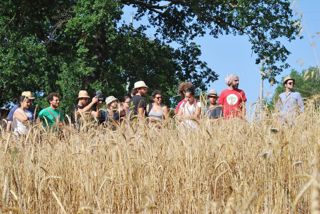  Caselle in Pittari - Palio del e Camp di Grano 2017