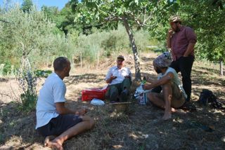 Caselle in Pittari - Palio del e Camp di Grano 2017