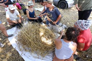  Caselle in Pittari - Palio del e Camp di Grano 2017