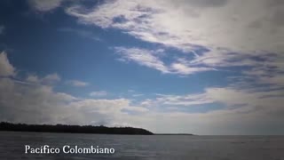 Minga Afrocolombiana