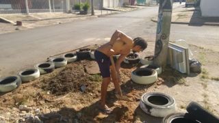 Canteiro de cima 8