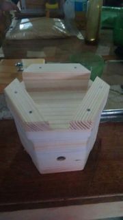 Meliponicultura 1