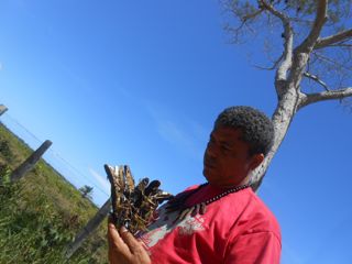 DSCN3566