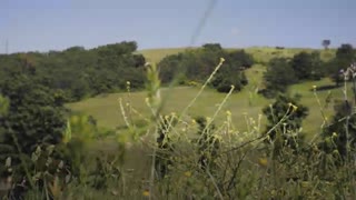 Rural resistance