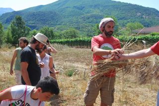 Caselle in Pittari - Palio del e Camp di Grano 2017