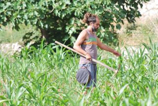  Caselle in Pittari - Palio del e Camp di Grano 2017