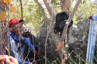 kalunga-23.07.2016-subida-teste-abadia-16