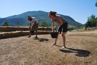 Caselle in Pittari - Palio del e Camp di Grano 2017