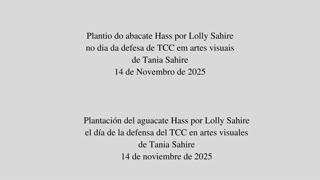 Lolly Sahire plantando abacate hass