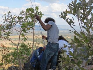 kalunga-23.07.2016-subida-teste-abadia-41