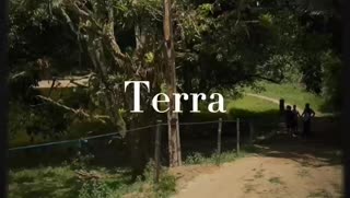 Palmares, de novo Palmares!