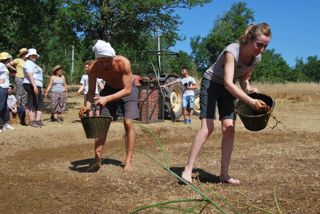  Caselle in Pittari - Palio del e Camp di Grano 2017