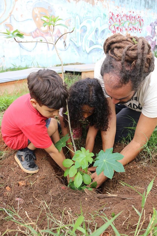 plantiobaoba_1-edd50.jpg