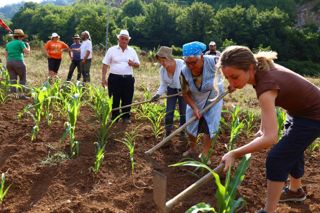  Caselle in Pittari - Palio del e Camp di Grano 2017