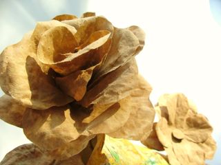 Peças da Tempo Eco Arte